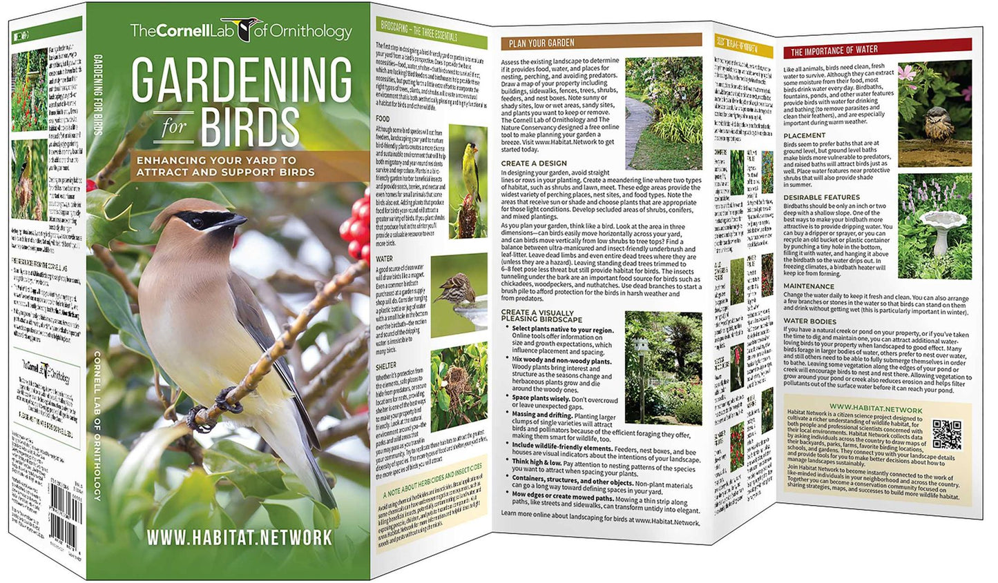 Gardening for Birds: Enhancing Your Yard to Attract and Support Birds