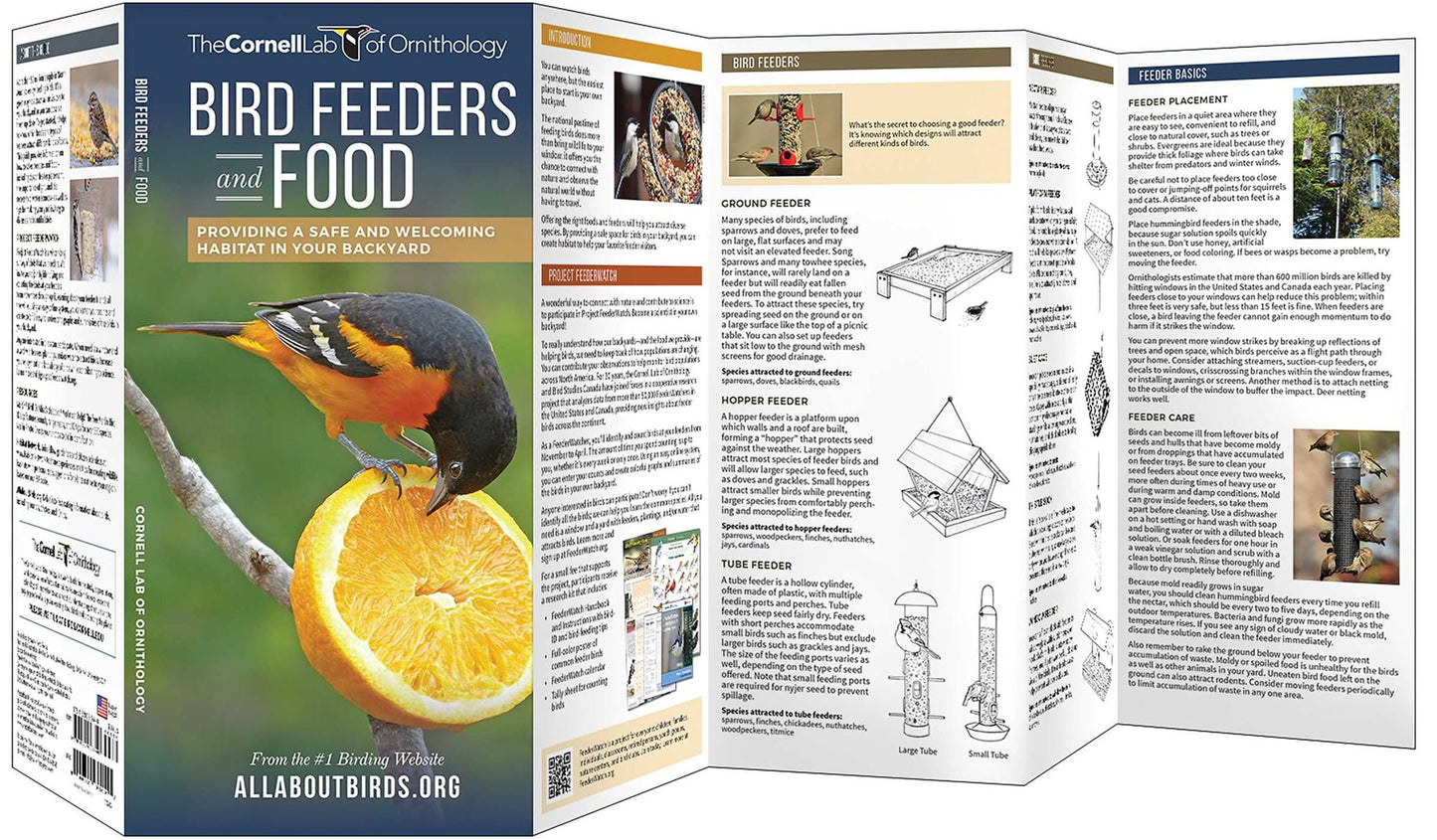 Bird Feeders and Food: Providing a Safe and Welcoming Habitat in Your Backyard