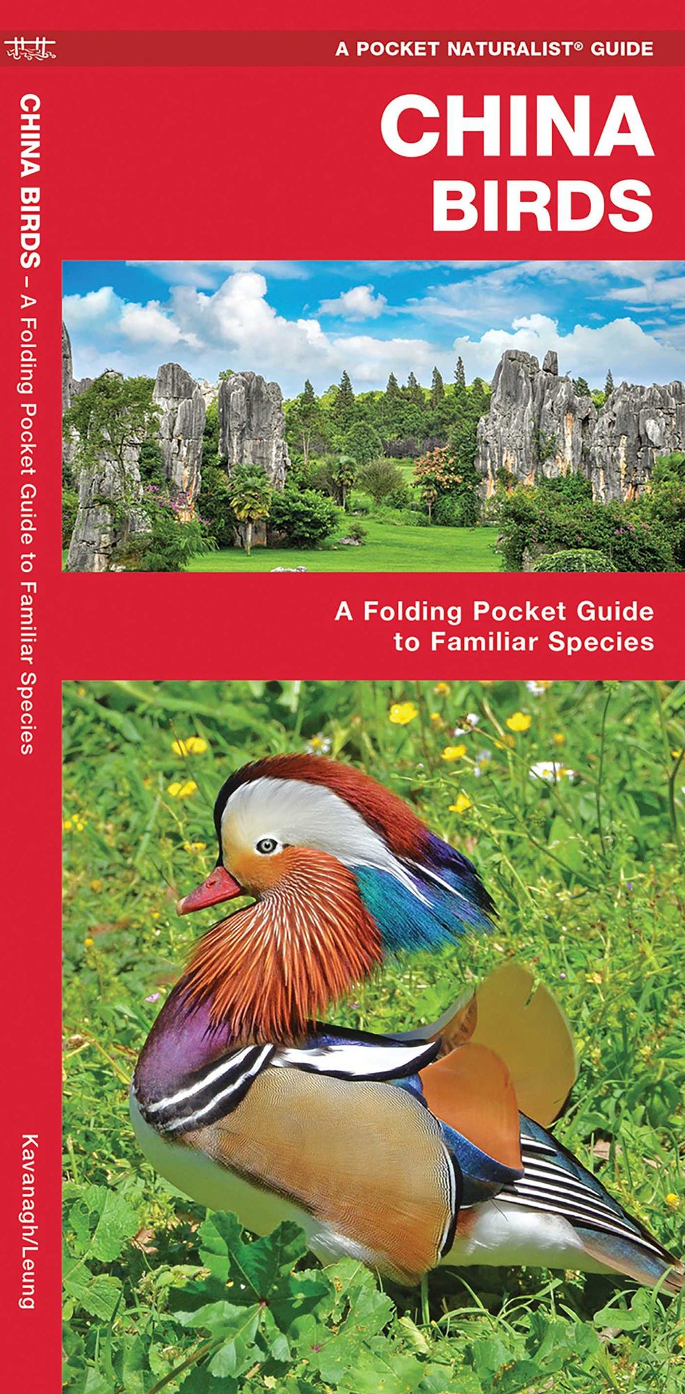 China Birds: A Folding Pocket Guide to Familiar Species