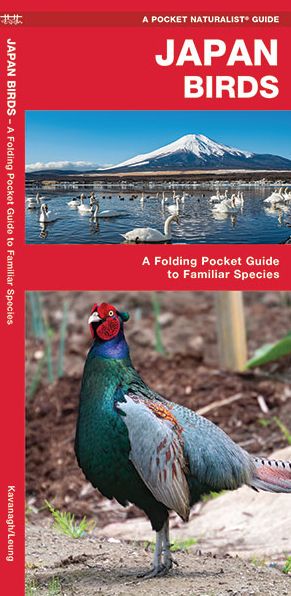 Japan Birds: A Folding Pocket Guide to Familiar Species
