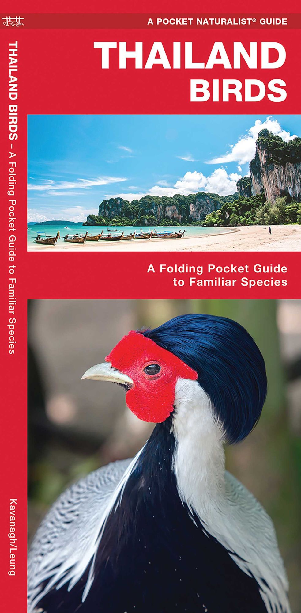 Thailand Birds: A Folding Pocket Guide to Familiar Species
