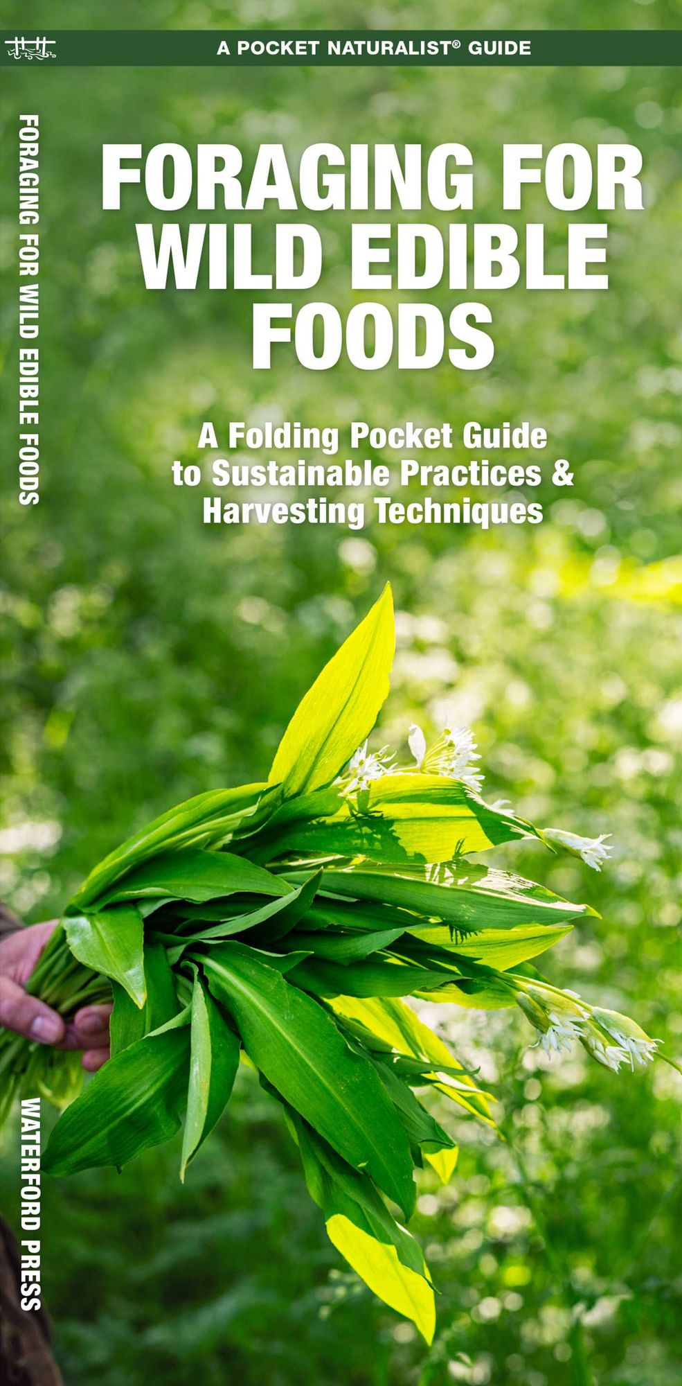 Foraging for Wild Edible Foods: A Folding Pocket Guide to Sustainable Practices & Harvesting Techniques