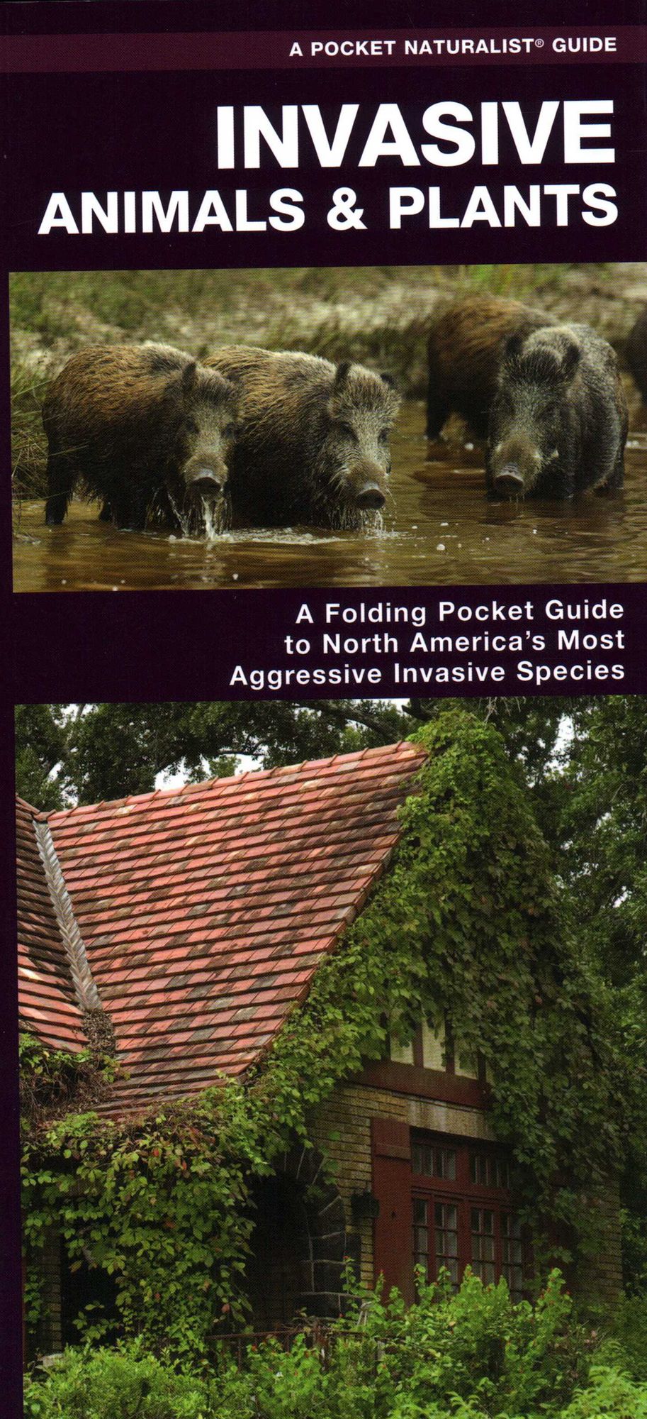 Invasive Species of North America