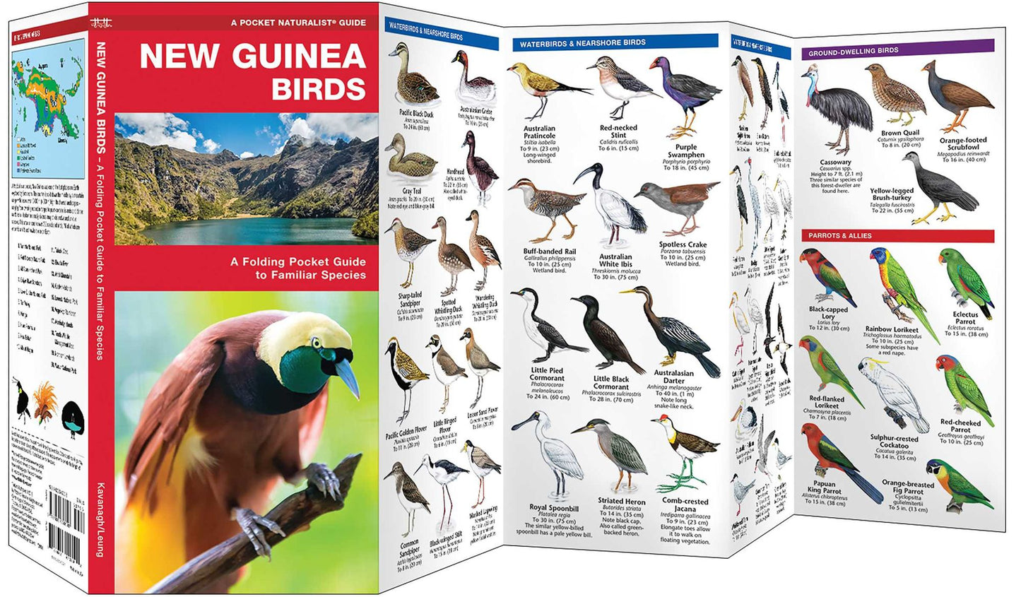 New Guinea Birds: A Folding Pocket Guide to Familiar Species