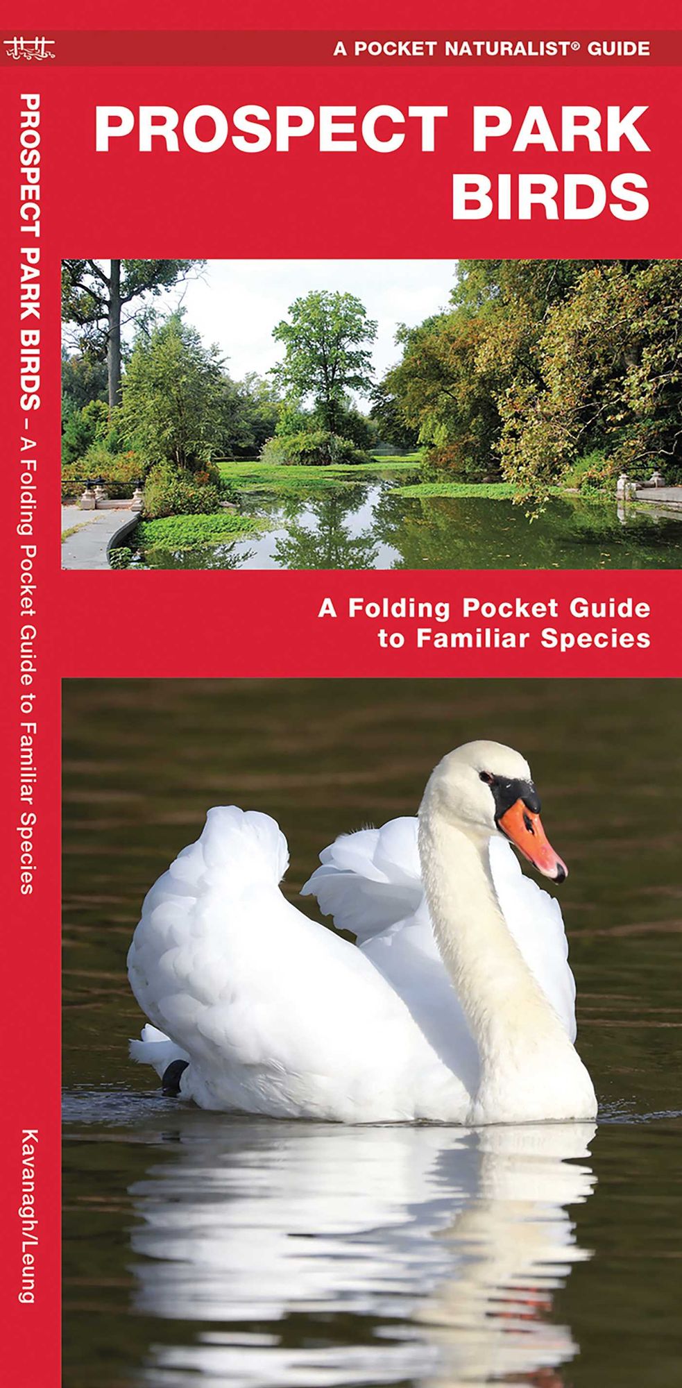 Prospect Park Birds: A Folding Pocket Guide to Familiar Species