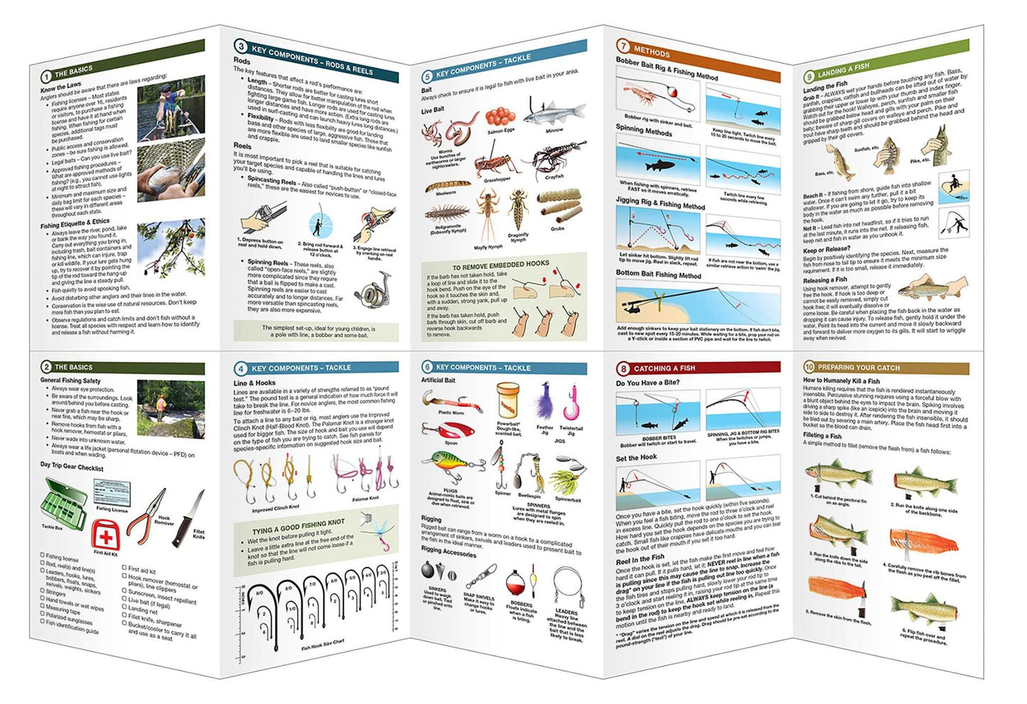 Freshwater Fishing Essentials: A Waterproof Pocket Guide to Gear, Techniques & Useful Tips