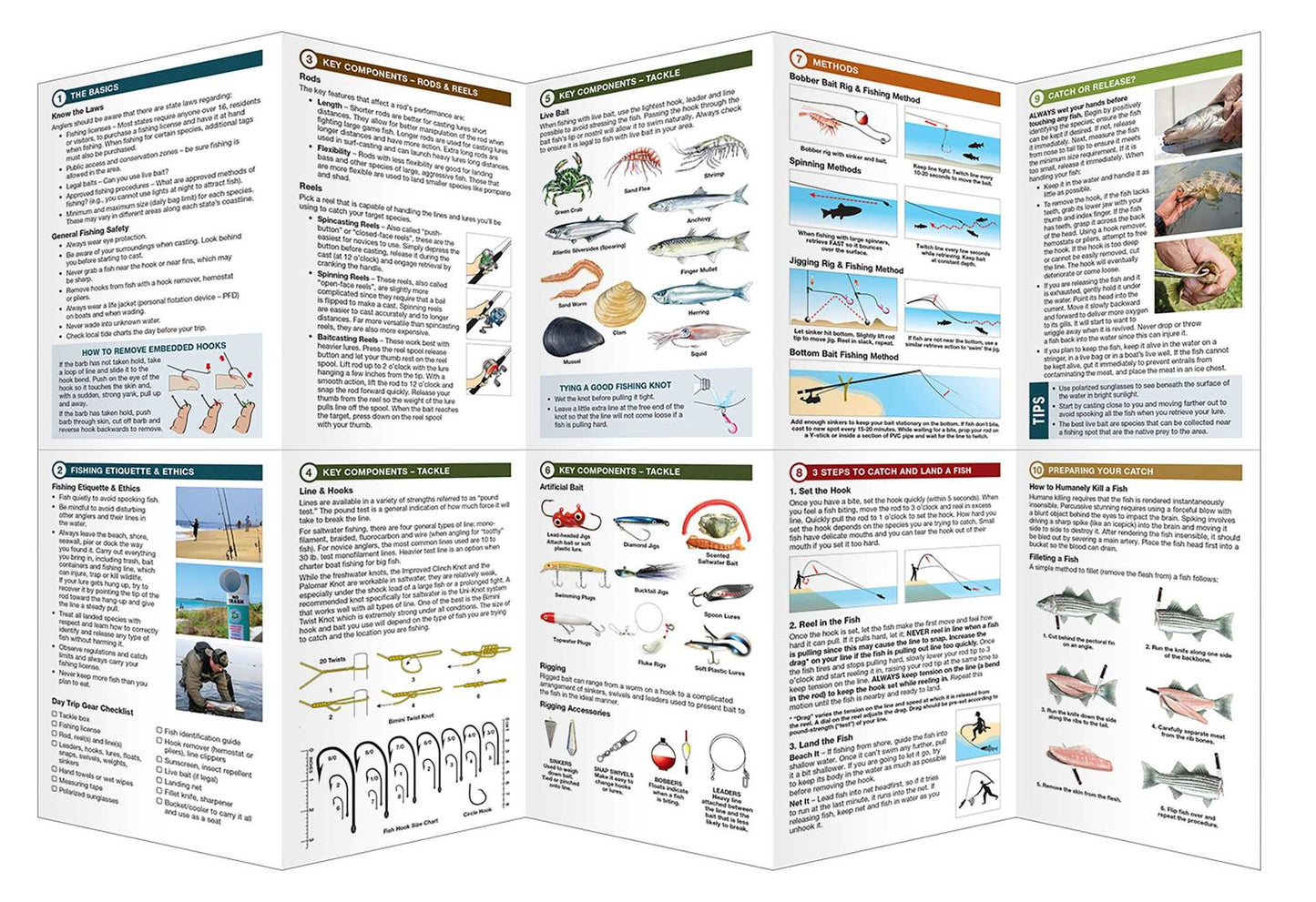 Saltwater Fishing Essentials: A Waterproof Folding Guide to Gear, Techniques & Useful Tips