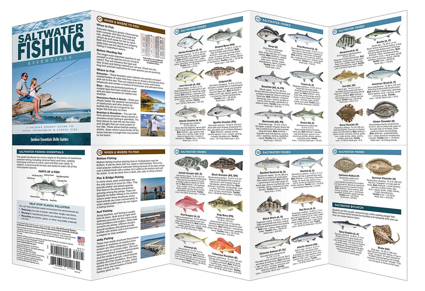 Saltwater Fishing Essentials: A Waterproof Folding Guide to Gear, Techniques & Useful Tips