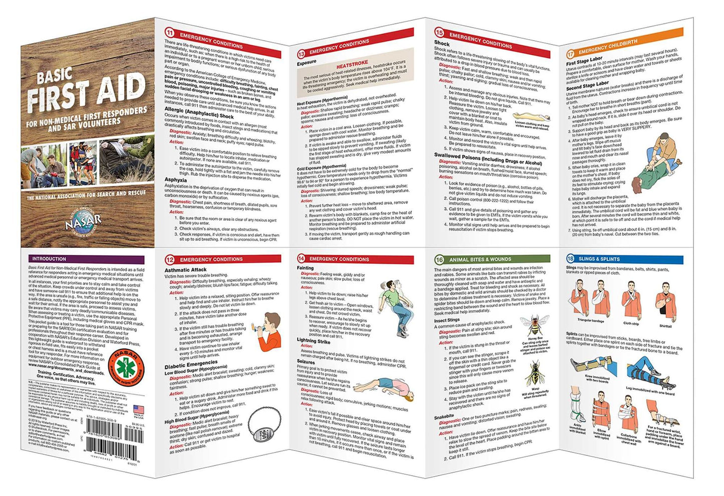Basic First Aid for First Responders
