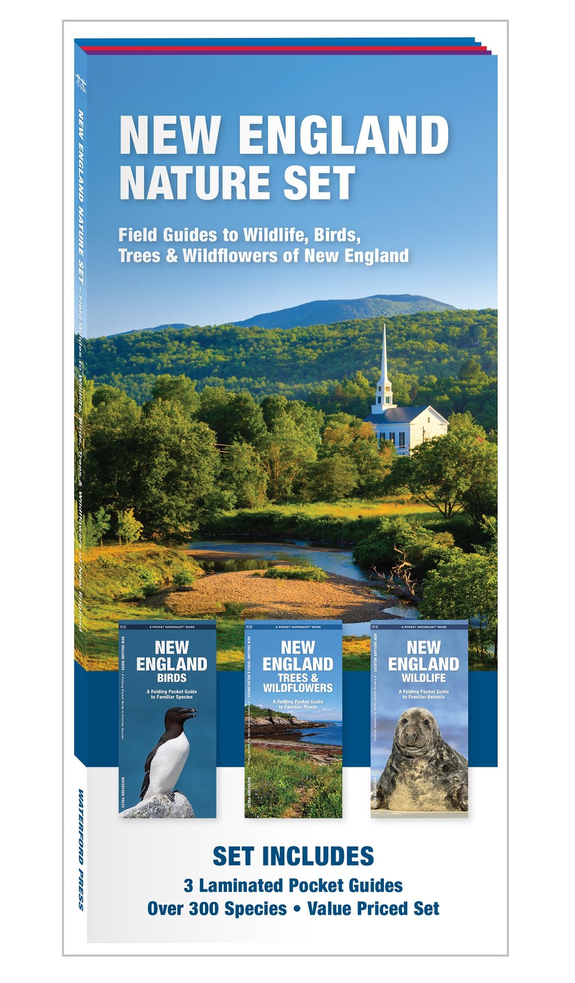 New England Nature Set: Field Guides to Wildlife, Birds, Trees & Wild Flowers of New England