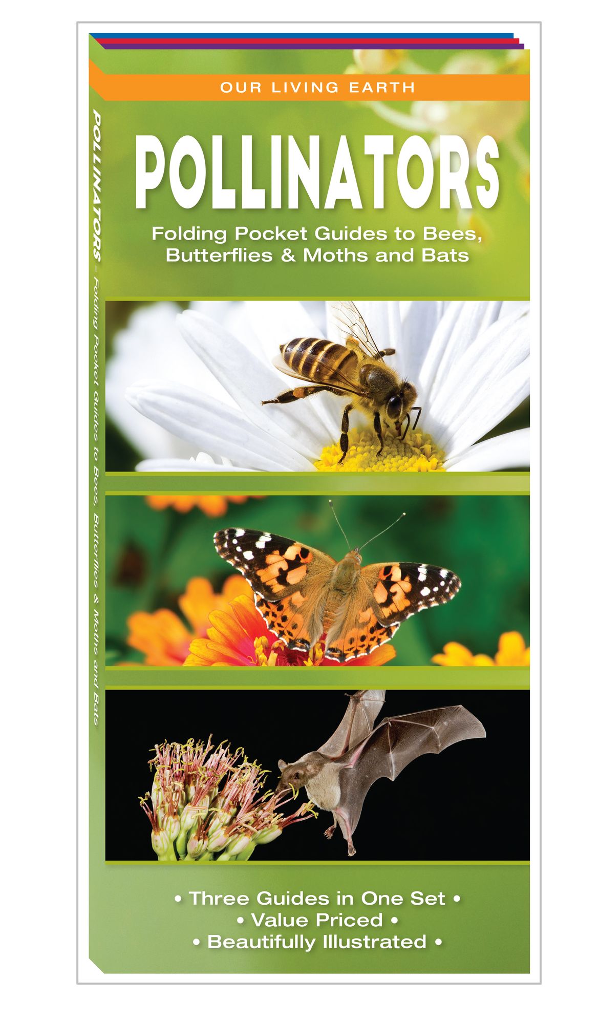 Pollinators Set: Nature Guides to Bats, Bees & Other Pollinators and Butterflies & Moths
