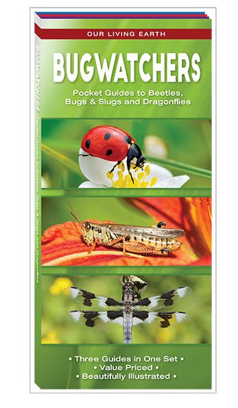 Bugwatchers: Pocket Guides to Beetles, Bugs and Slugs and Dragonflies