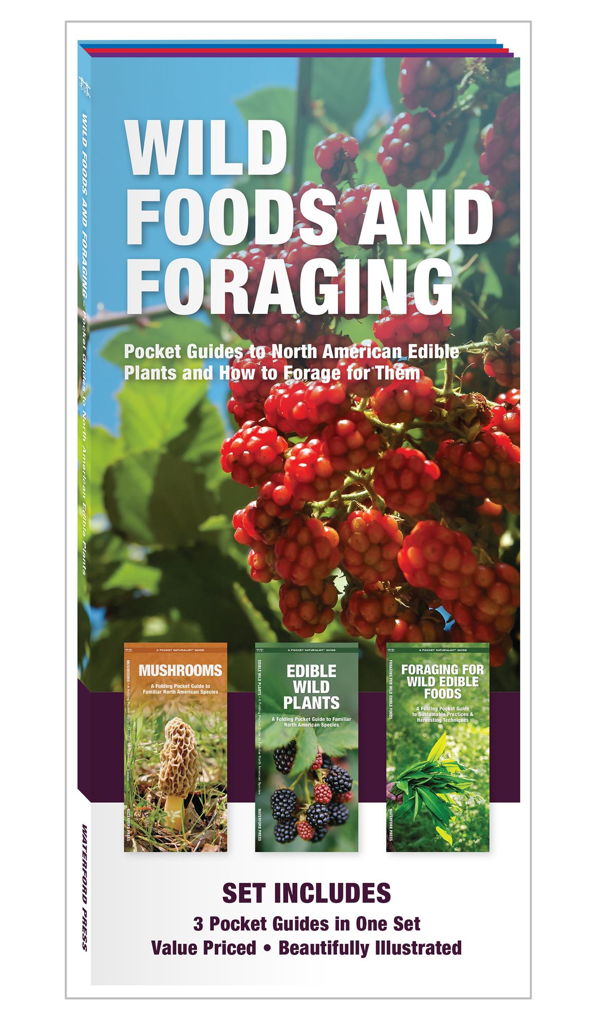 Wild Foods and Foraging: Pocket Guides to North American Edible Plants and How to Forage for Them