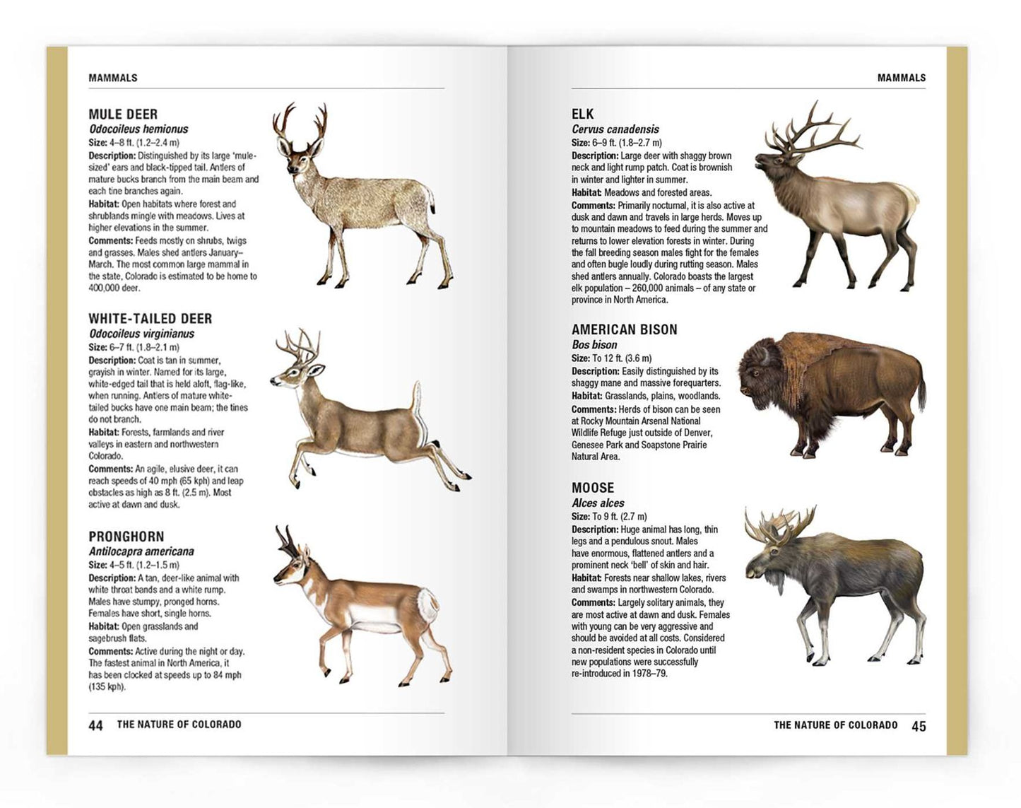 The Nature of Colorado: An Introduction to Familiar Plants, Animals and Outstanding Natural Attractions