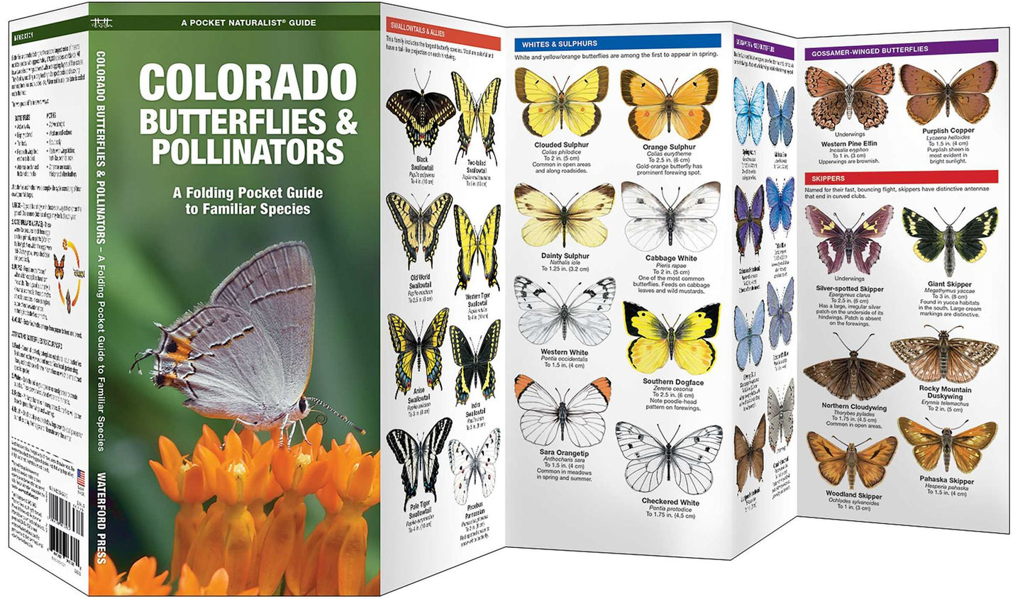 Colorado Butterflies & Pollinators: A Folding Pocket Guide to Familiar Species