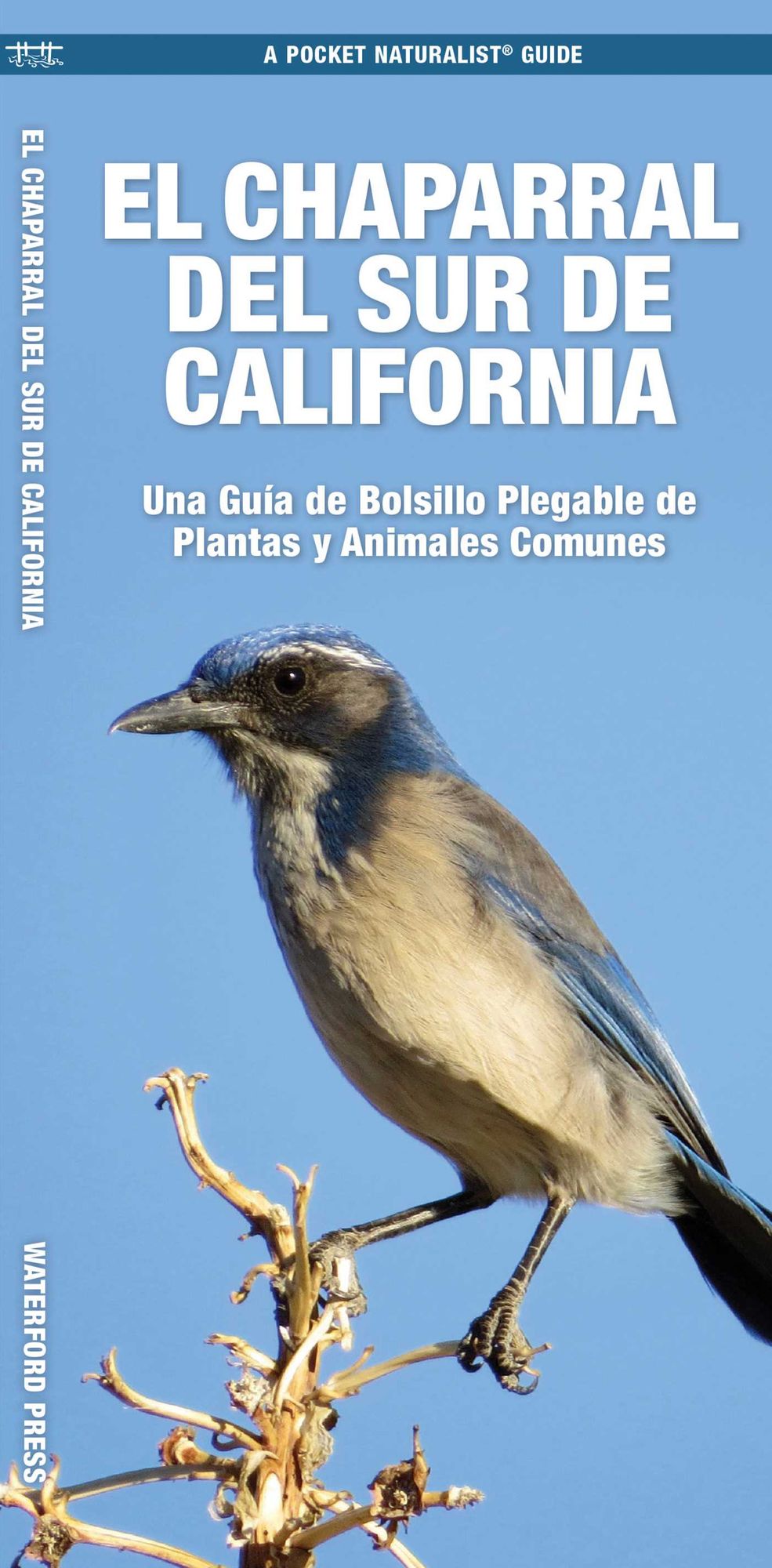 El Chaparral Del Sur de California: Una Guia de Bolsillo Plegable de Plantas y Animales Comunes