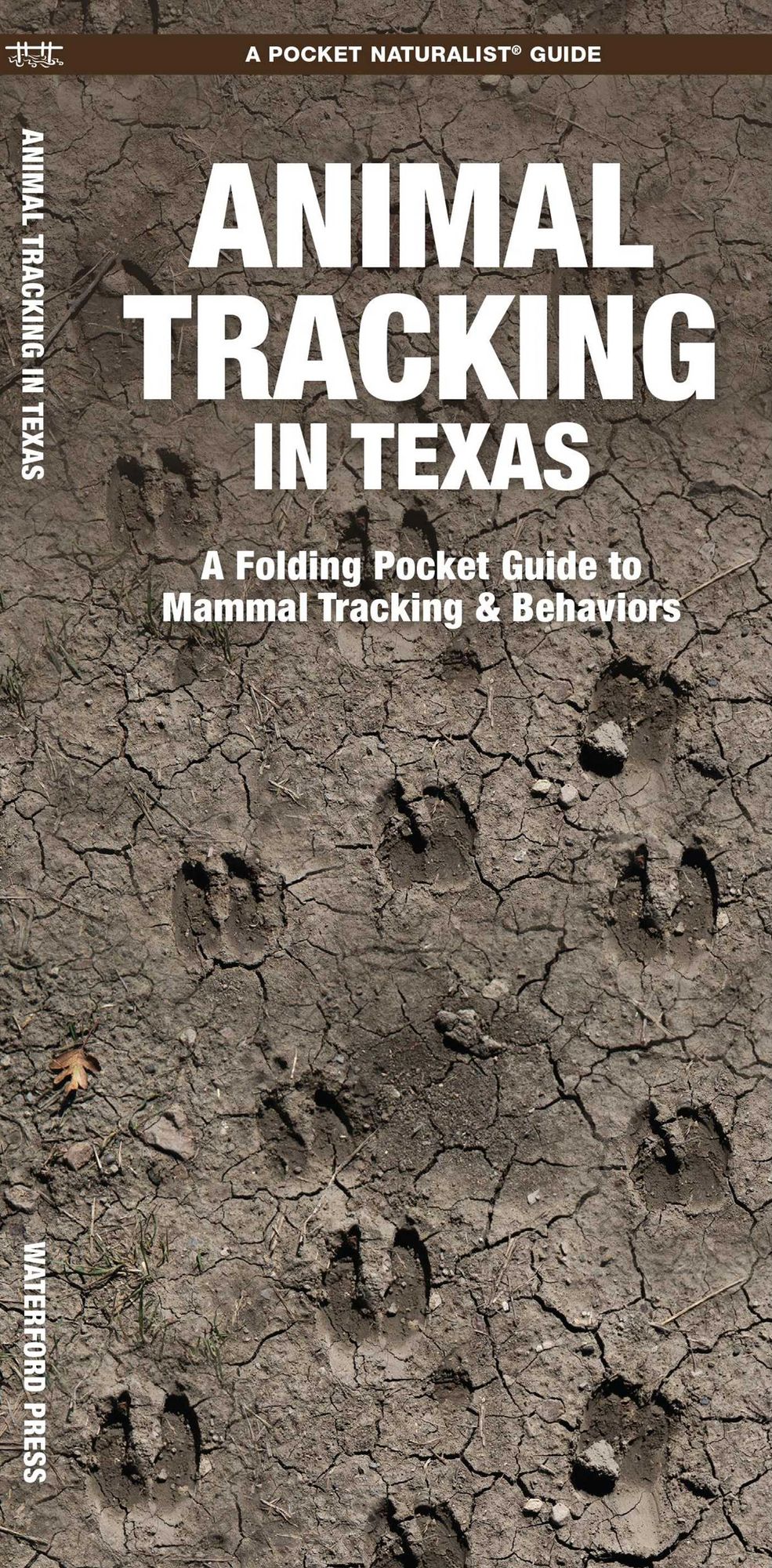 Animal Tracking in Texas: A Folding Pocket Guide to Animal Tracking & Behavior