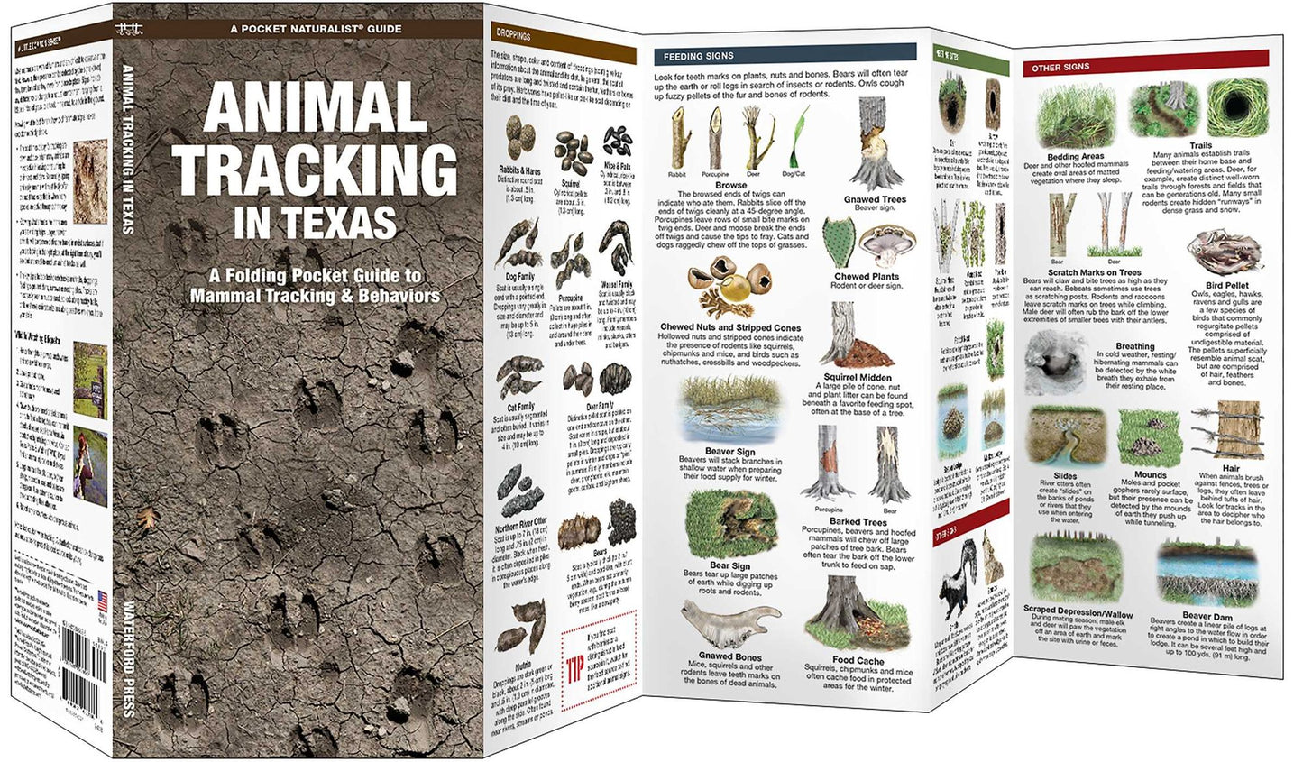 Animal Tracking in Texas: A Folding Pocket Guide to Animal Tracking & Behavior