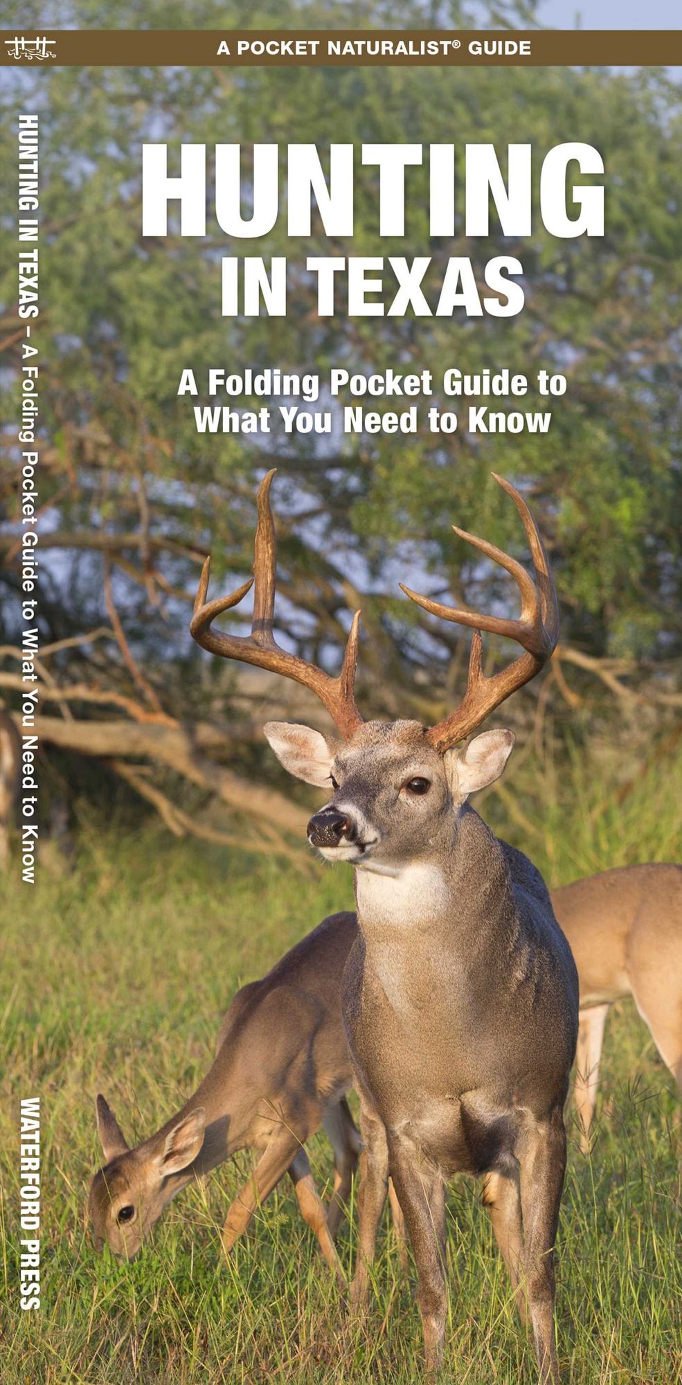Hunting in Texas: A Waterproof Folding Guide to What Novices Need to Know