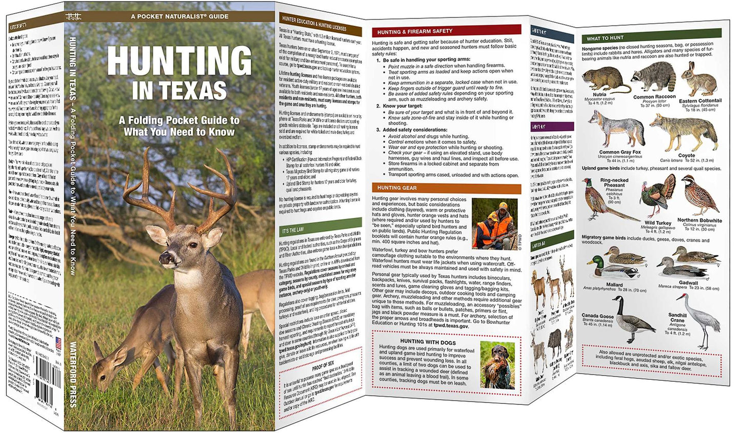 Hunting in Texas: A Waterproof Folding Guide to What Novices Need to Know