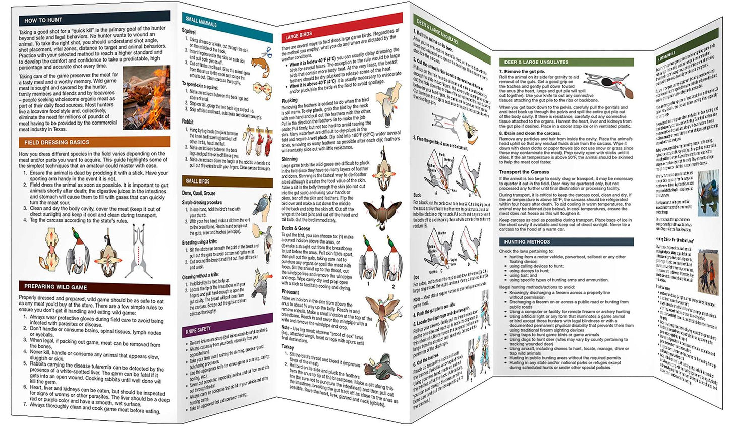Hunting in Texas: A Waterproof Folding Guide to What Novices Need to Know