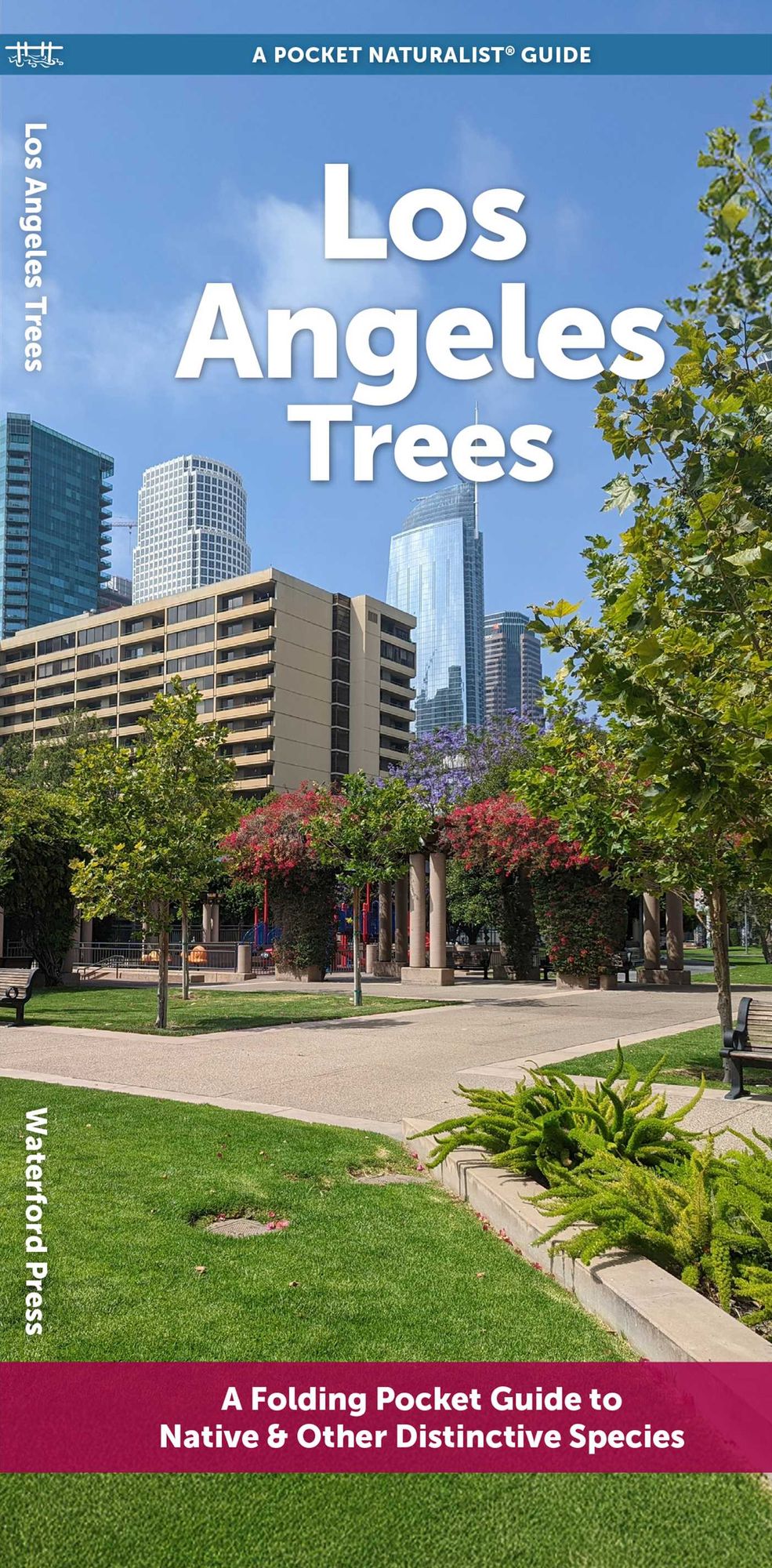 Los Angeles Trees: A Folding Pocket Guide to Familiar Trees