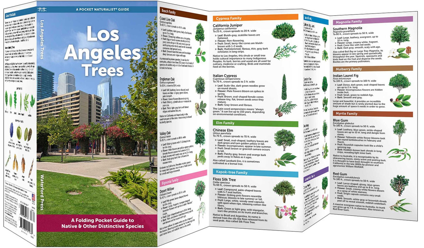 Los Angeles Trees: A Folding Pocket Guide to Familiar Trees