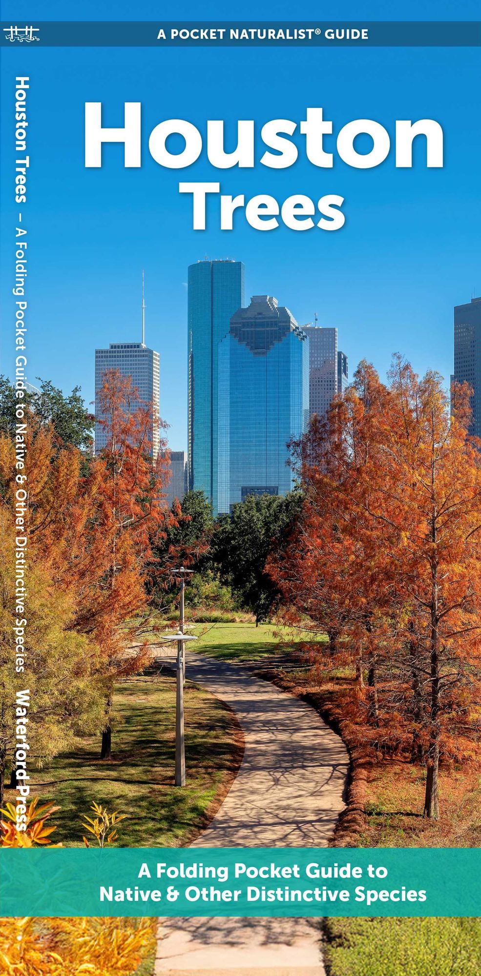 Houston Trees: A Folding Pocket Guide to Familiar Trees
