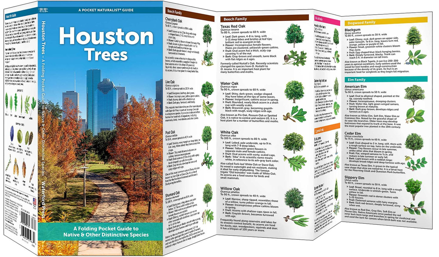 Houston Trees: A Folding Pocket Guide to Familiar Trees