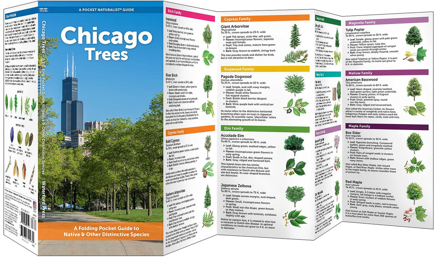 Chicago Trees: A Folding Pocket Guide to Familiar Trees