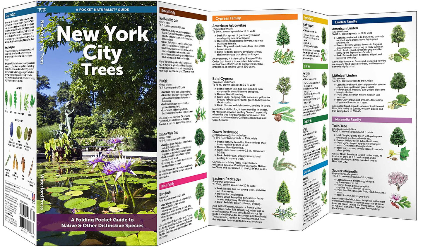 New York City Trees: A Folding Pocket Guide to Familiar Trees