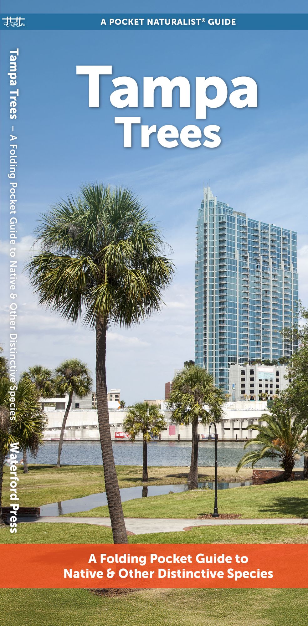 Tampa Trees: A Folding Pocket Guide to Familiar Trees