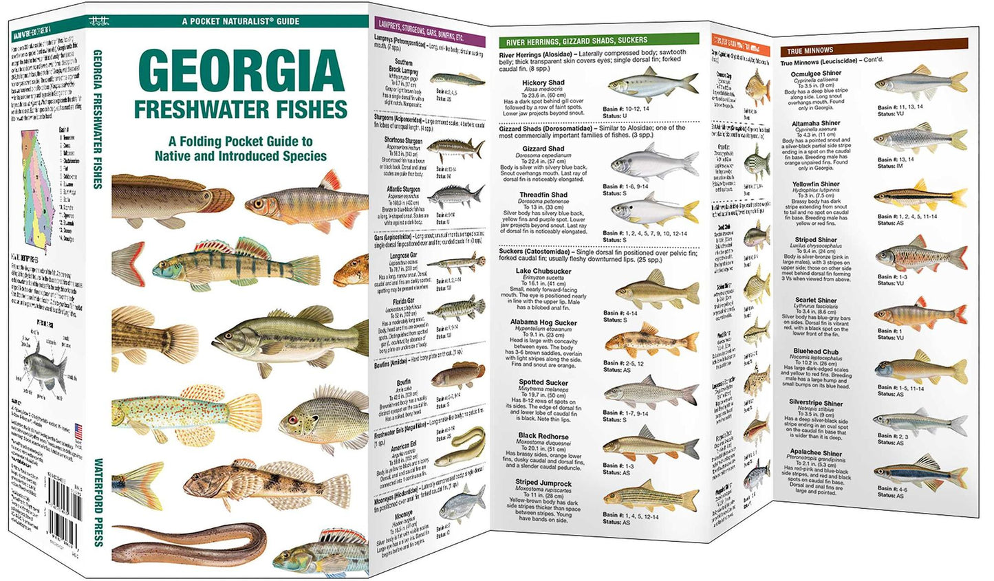 Georgia Freshwater Fishes: A Folding Guide to Native and Introduced Species