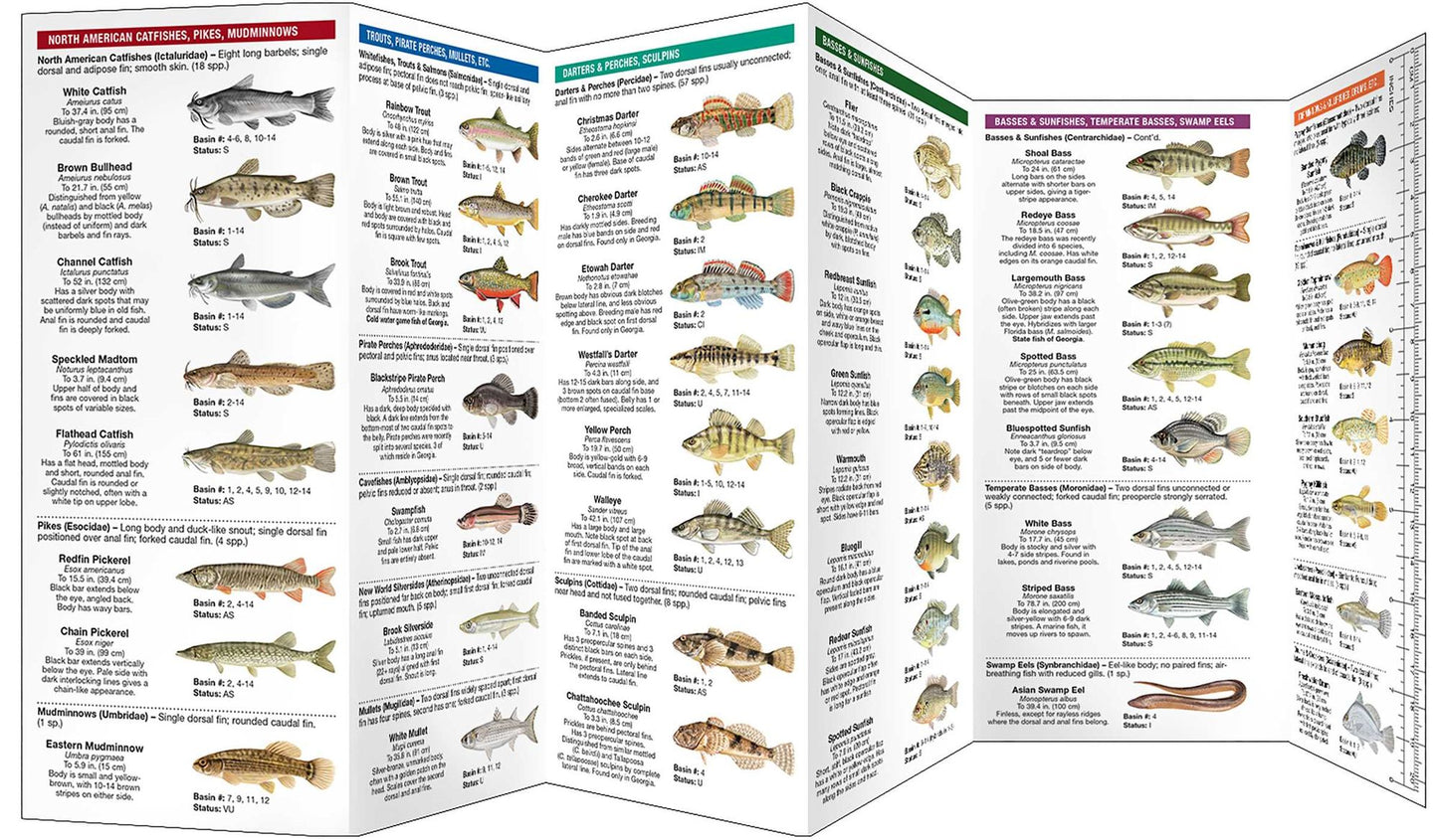 Georgia Freshwater Fishes: A Folding Guide to Native and Introduced Species