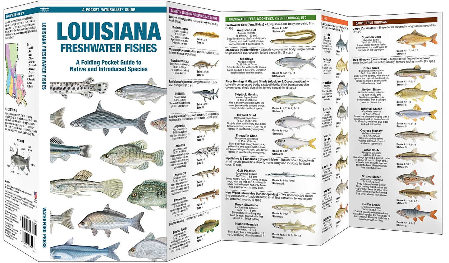 Louisiana Freshwater Fishes: A Folding Guide to Native and Introduced Species