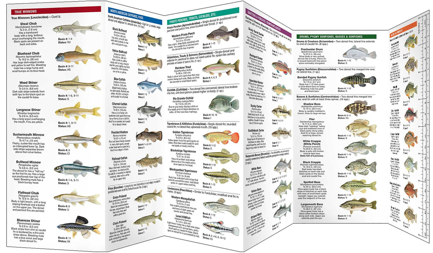 Louisiana Freshwater Fishes: A Folding Guide to Native and Introduced Species