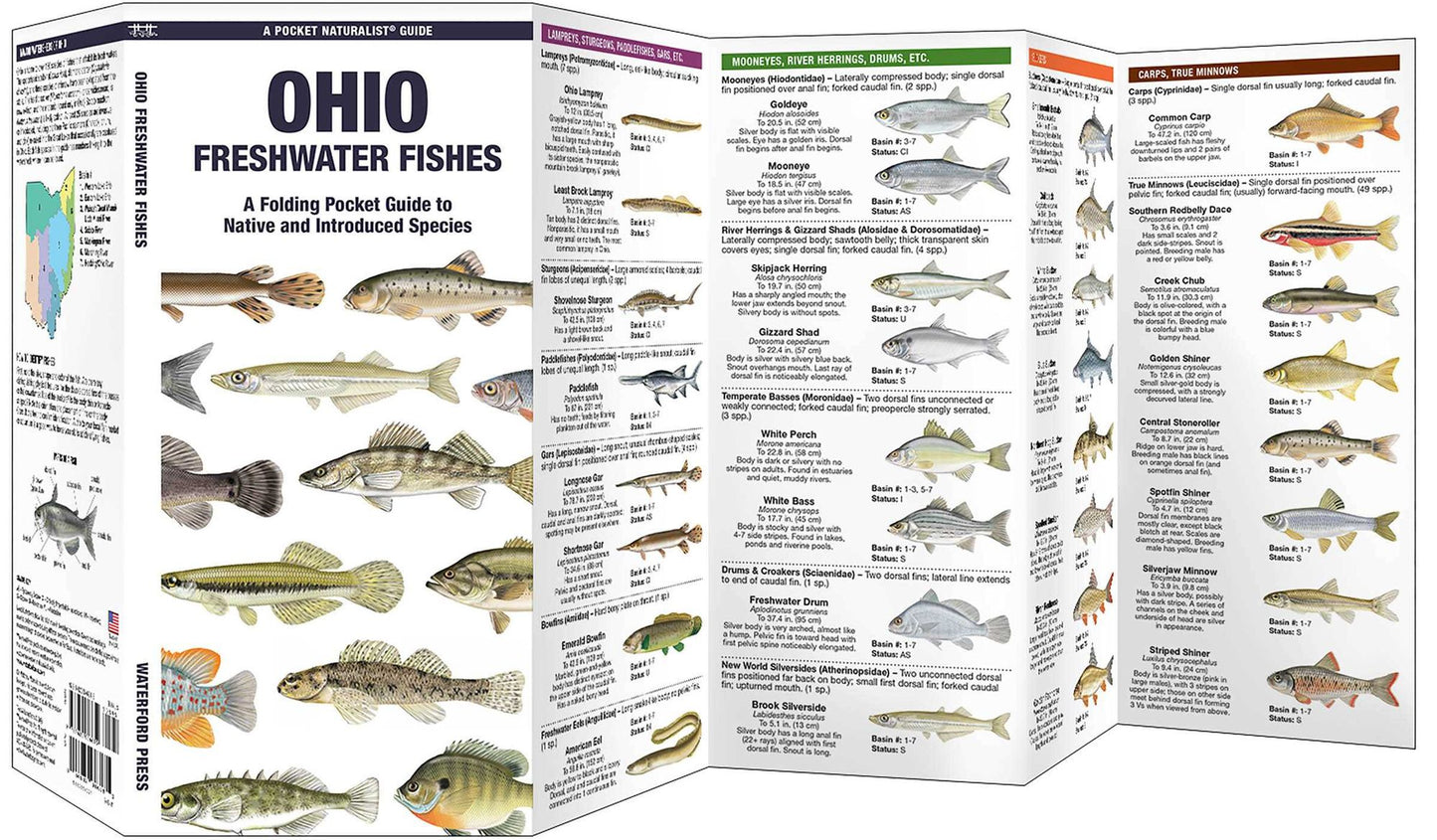 Ohio Freshwater Fishes: A Folding Guide to Native and Introduced Species