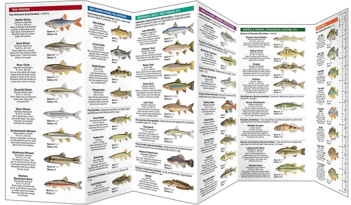 Ohio Freshwater Fishes: A Folding Guide to Native and Introduced Species