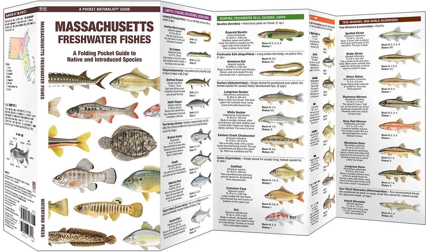 Massachusetts Freshwater Fishes: A Folding Guide to Native and Introduced Species