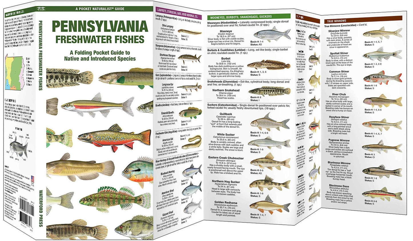Pennsylvania Freshwater Fishes: A Folding Guide to Native and Introduced Species