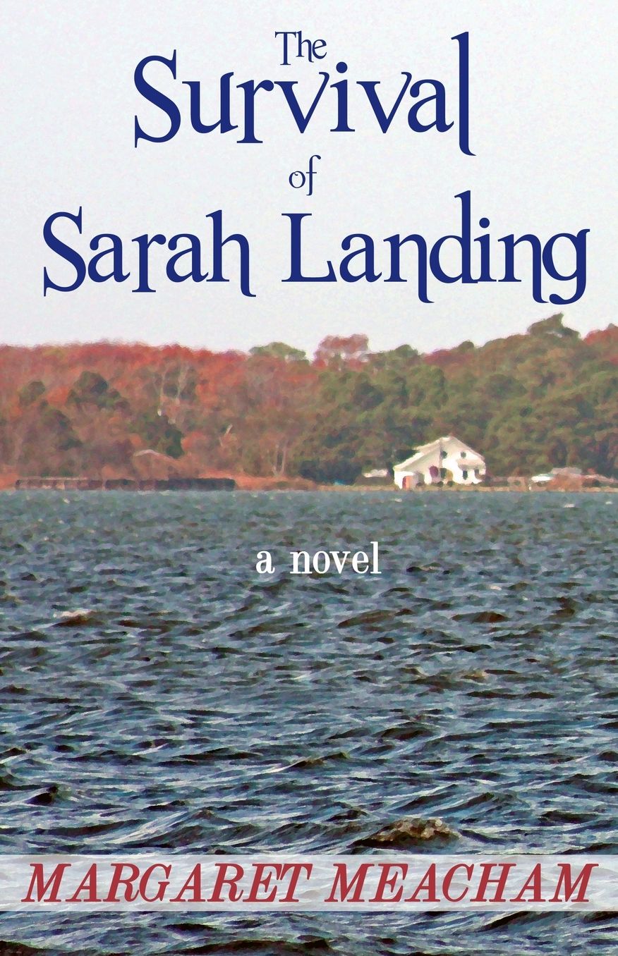The Survival of Sarah Landing