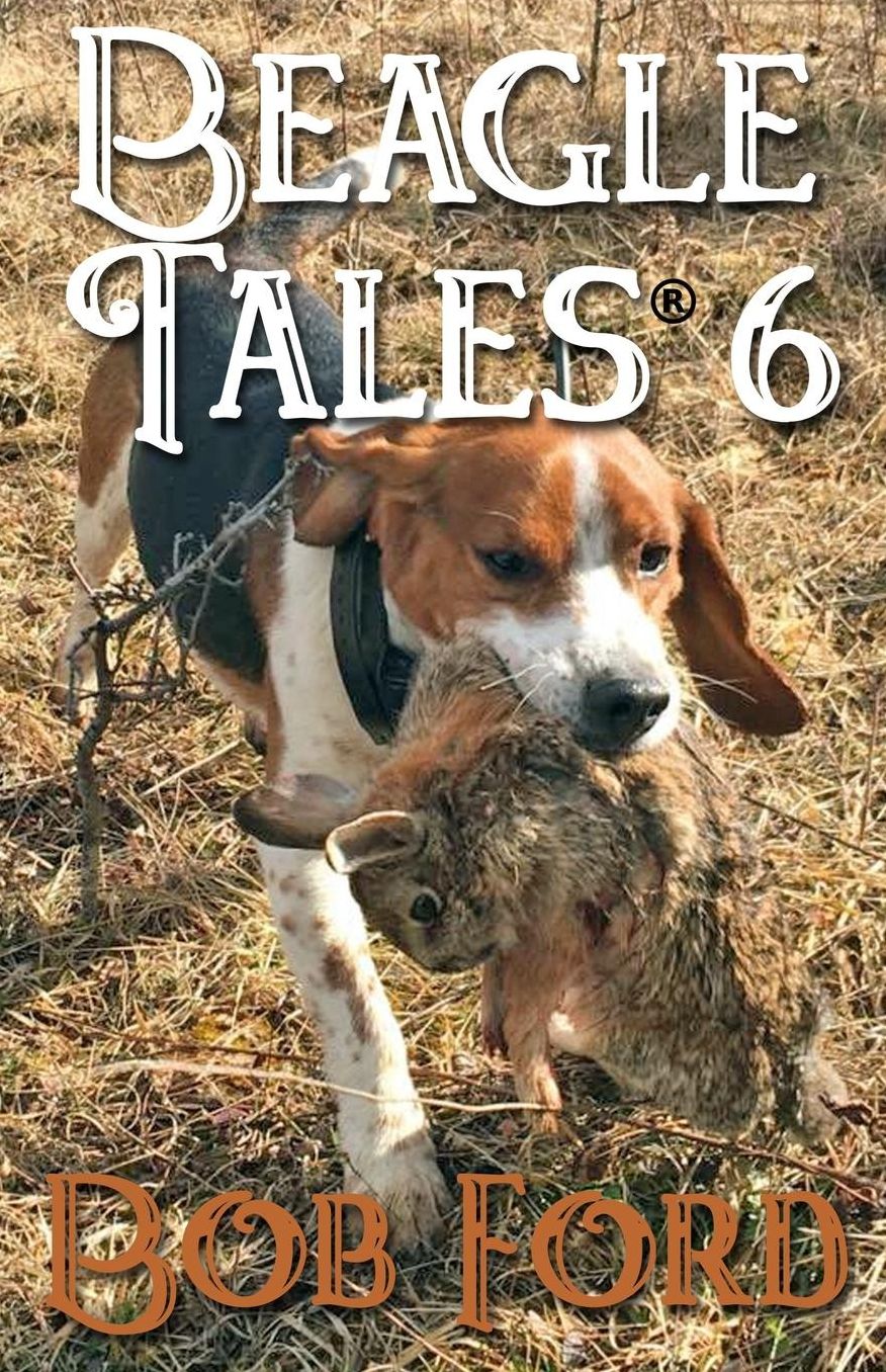 Beagle Tales 6