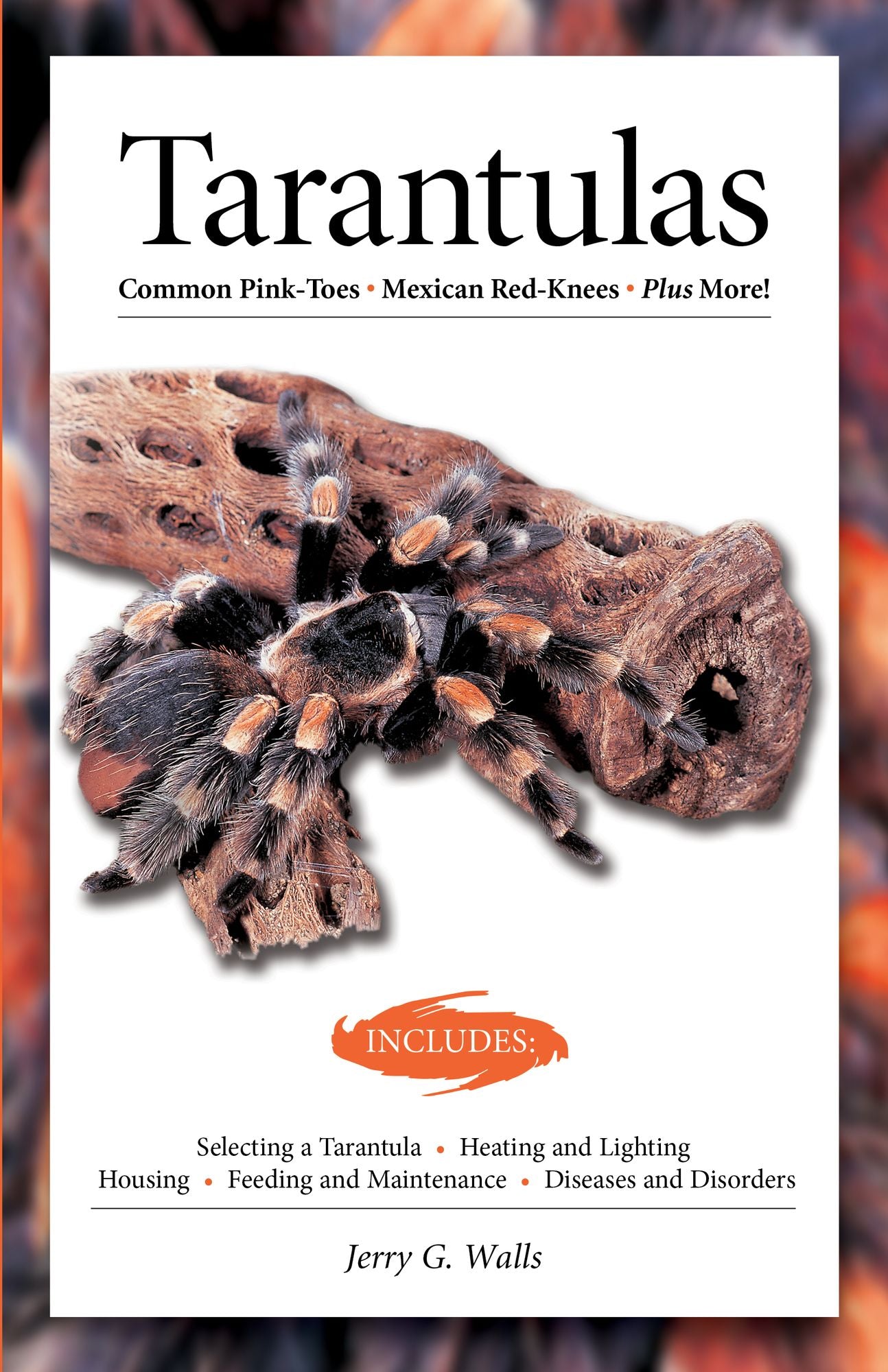 Tarantulas