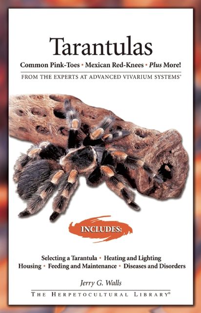 Tarantulas