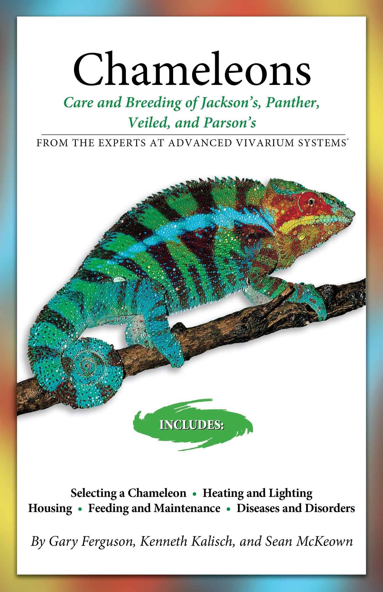 Essential Care of Chameleons