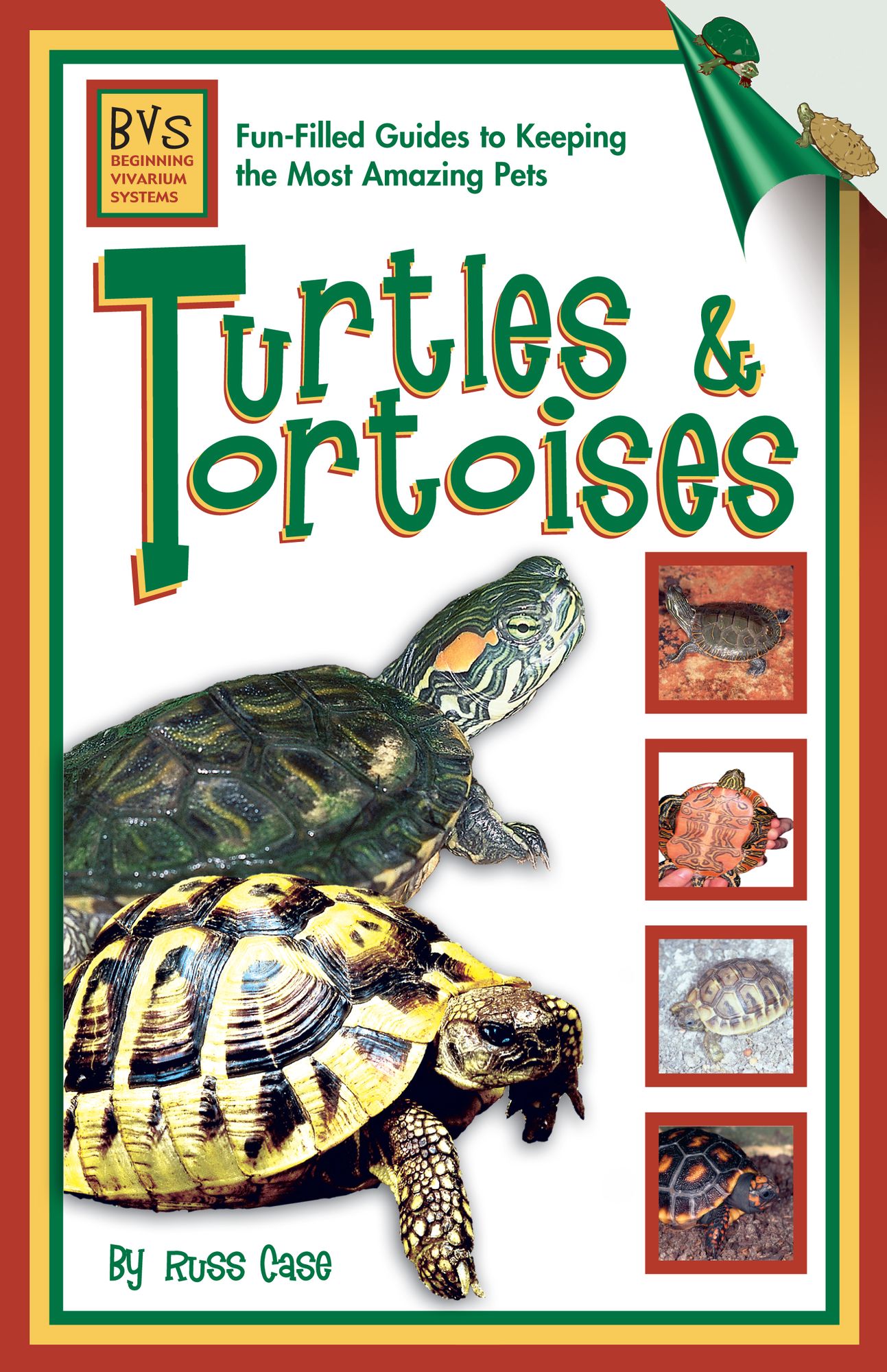 Turtles & Tortoises