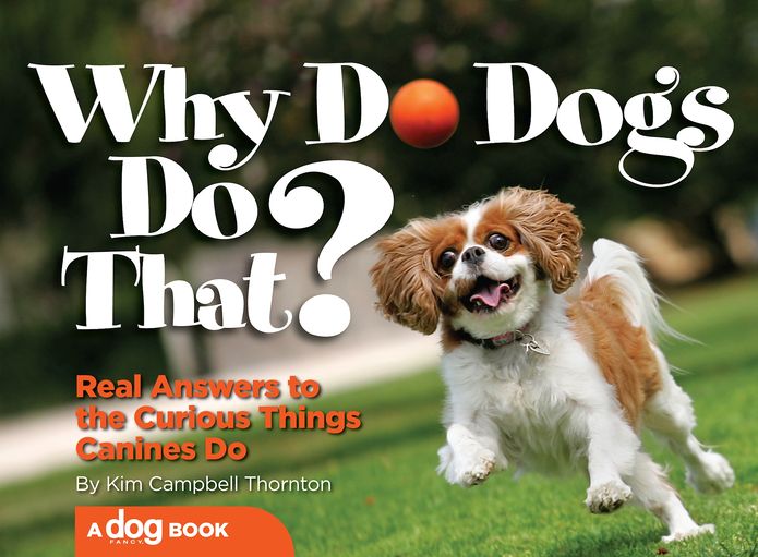 Why Do Dogs Do That?: Real Answers to the Curious Things Canines Do?