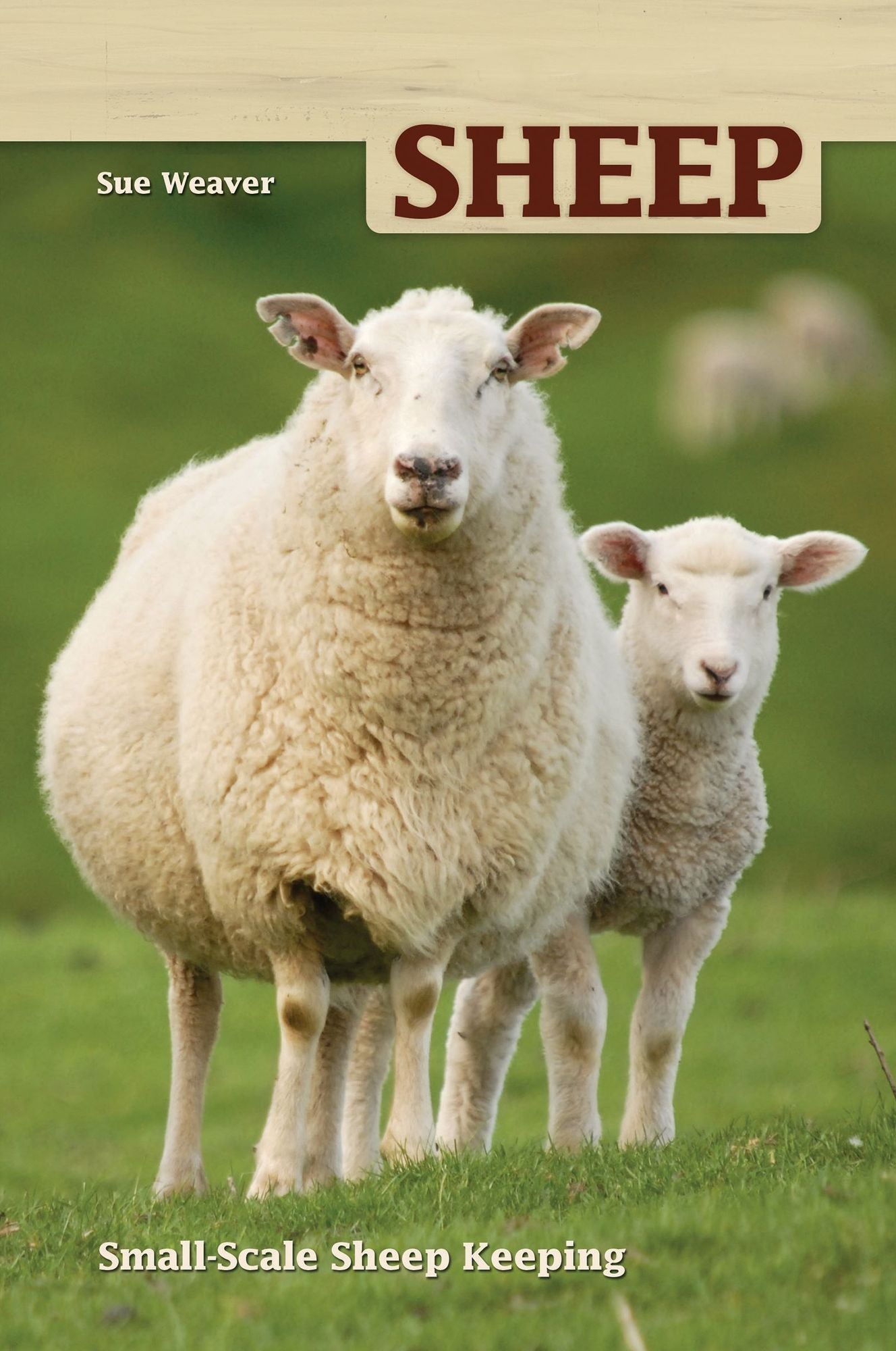 Sheep: Small-Scale Sheep Keeping