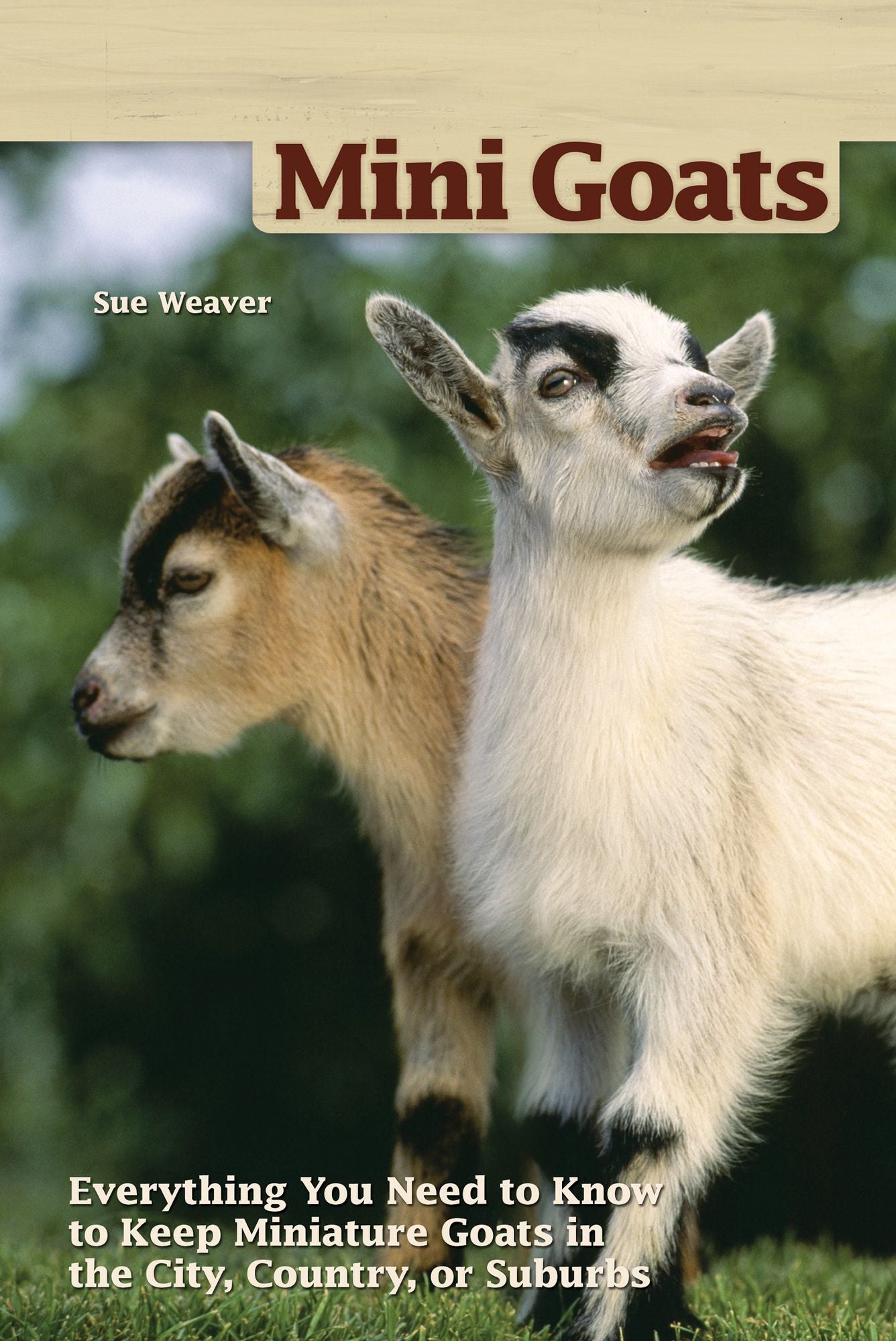 Mini-Goats: Everything You Need to Know to Keep Miniature Goats in the City, Country, or Suburbs
