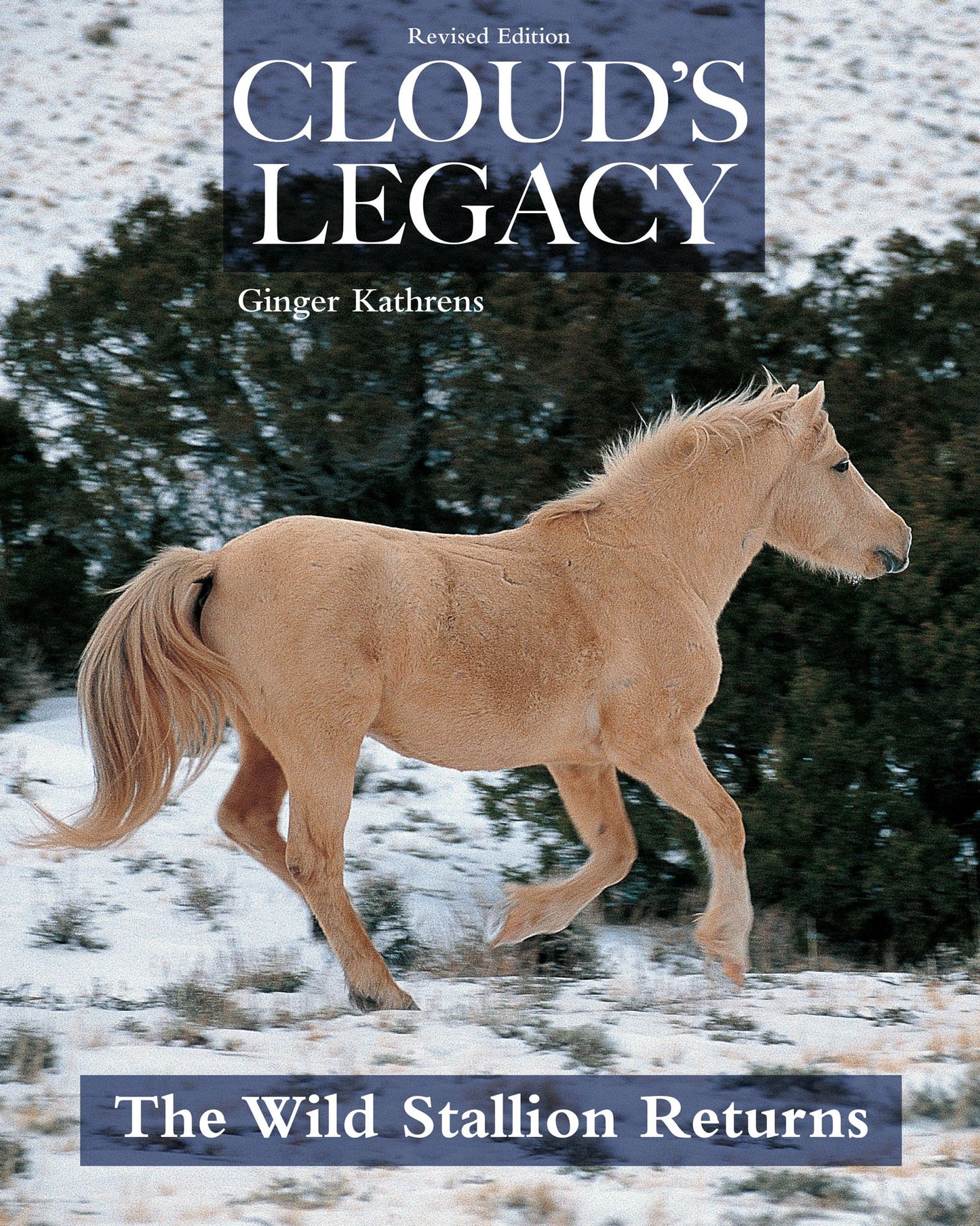 Cloud's Legacy : The Wild Stallion Returns